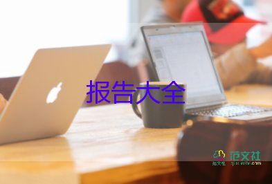 公司自查報(bào)告5篇
