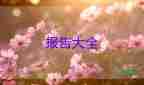 2023年網(wǎng)絡自查報告6篇