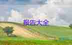 大學(xué)生社會(huì)志愿者實(shí)踐報(bào)告6篇