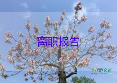 2022小學(xué)教師辭職報(bào)告精選熱門(mén)優(yōu)秀模板8篇