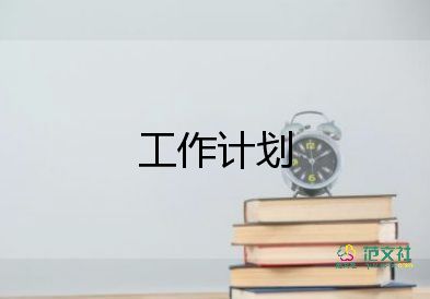 銷售經(jīng)理明年工作計劃8篇