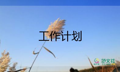 銷(xiāo)售經(jīng)理的工作計(jì)劃參考6篇