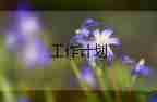 生態(tài)環(huán)境工作計劃5篇