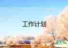 部門銷售經(jīng)理的工作計劃6篇