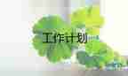 銷(xiāo)售經(jīng)理的工作計(jì)劃7篇