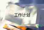 銷售總監(jiān)2022工作計(jì)劃7篇