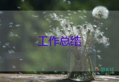新員工第三個(gè)月試用期工作總結(jié)6篇