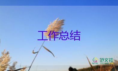 年終工作總結(jié)范文大全銷售8篇