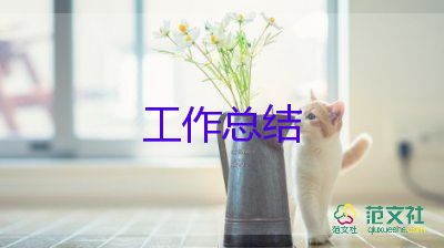 銷售經驗個人總結5篇