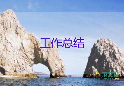 稅管員的個(gè)人總結(jié)范文7篇