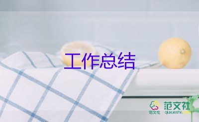 新進員工個人工作總結精選6篇