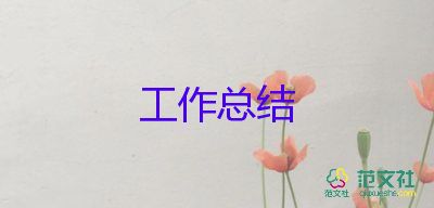 程序員個(gè)人工作總結(jié)通用7篇