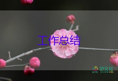 工作總結(jié)銷售個人范文優(yōu)秀8篇