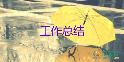 程序員工作總結(jié)范文模板大全5篇