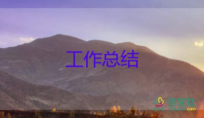 軟件開發(fā)工作總結(jié)范文6篇