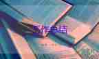 2023年質(zhì)量管理工作總結(jié)5篇