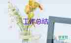 安保年終個人工作總結模板5篇