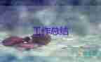 做導(dǎo)購的工作總結(jié)推薦7篇