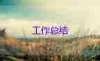 預(yù)算員工作總結(jié)個(gè)人總結(jié)3篇