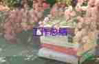 2023年醫(yī)藥銷售工作總結(jié)參考5篇