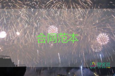 正規(guī)的公司借款合同7篇