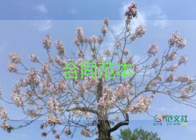 建設(shè)銀行合同6篇