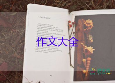 家與國(guó)作文600字模板5篇