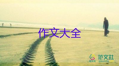 我做了我做了一項(xiàng)小實(shí)驗(yàn)的作文通用7篇