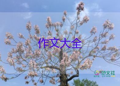 畫一位老師的作文參考8篇