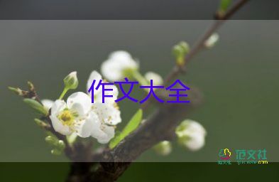 寫童年趣事作文400字模板6篇