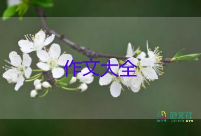 未來為作文6篇