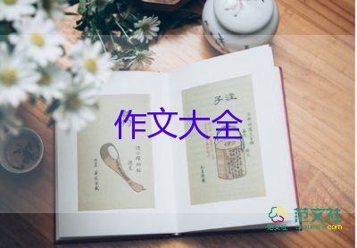 寫(xiě)年的作文優(yōu)質(zhì)7篇