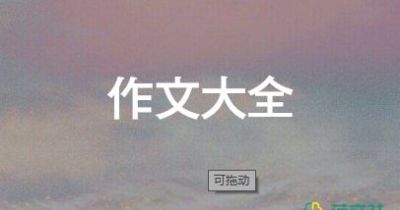 我的生活少了他作文優(yōu)質(zhì)8篇