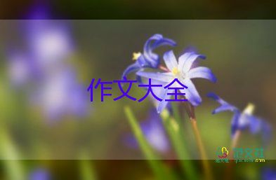 《信任》作文優(yōu)秀6篇