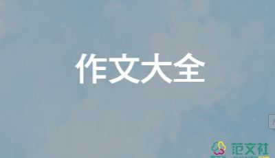 眼淚流下后作文5篇