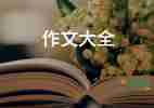 精選熱門(mén)關(guān)于海邊景色的作文范文3篇