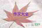 打開那扇門作文參考5篇