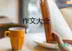 讀書小學(xué)作文600字6篇