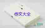 2023我的人生目標(biāo)作文5篇