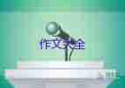 歡樂中秋節(jié)作文300精選7篇