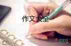 紅對勾為話題的作文7篇
