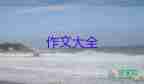 去歡樂谷的作文優(yōu)秀8篇
