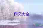 關(guān)于中國傳統(tǒng)文化作文精選范文3篇