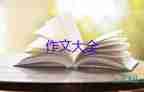 作文六要讀后感600字8篇