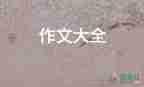 詩歌后感作文400字參考5篇