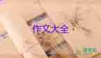 2022生活需要陽(yáng)光作文優(yōu)秀范文8篇