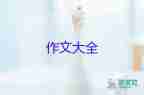 生活告訴了我作文800字作文精選8篇
