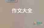 生活需要陽(yáng)光作文通用5篇