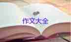 我開學(xué)啦作文參考6篇