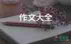 中國的春節(jié)作文優(yōu)質(zhì)5篇